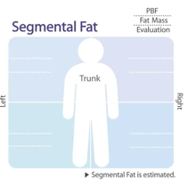Segmental Fat